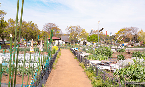 鶴ヶ島市農業交流センター「つるの里 のんのん」