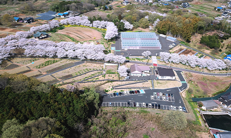 東松山市農林公園